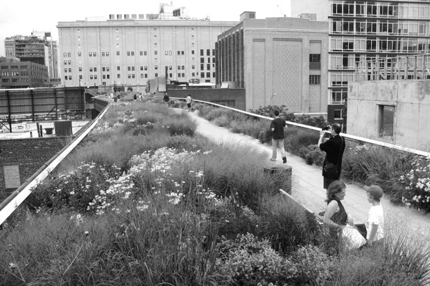 The High Line, 2009