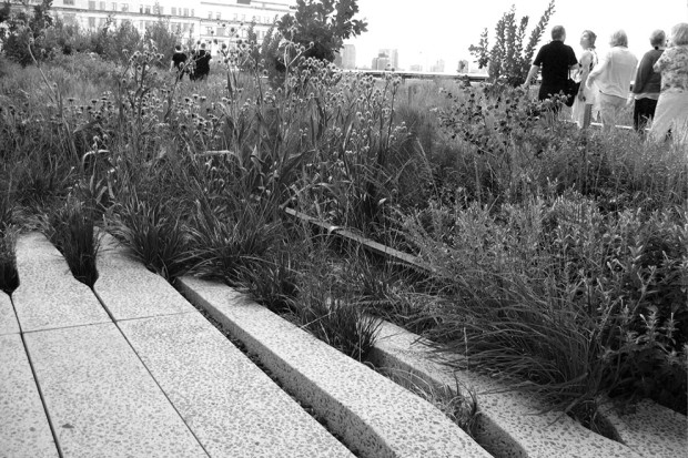 The High Line, 2010