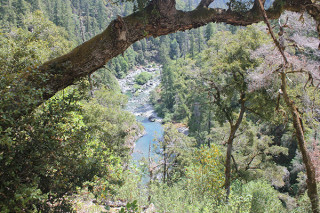 smithriverpano