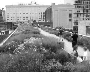 The Highline: Monument to Modern Ruin – essay
