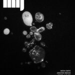 Review of Video After Video in MFJ 82